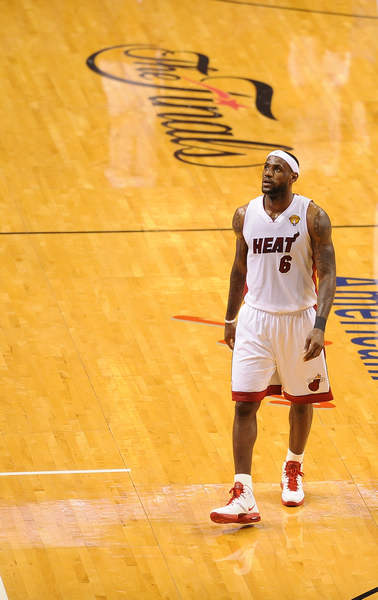 也为今后的 也为今后的