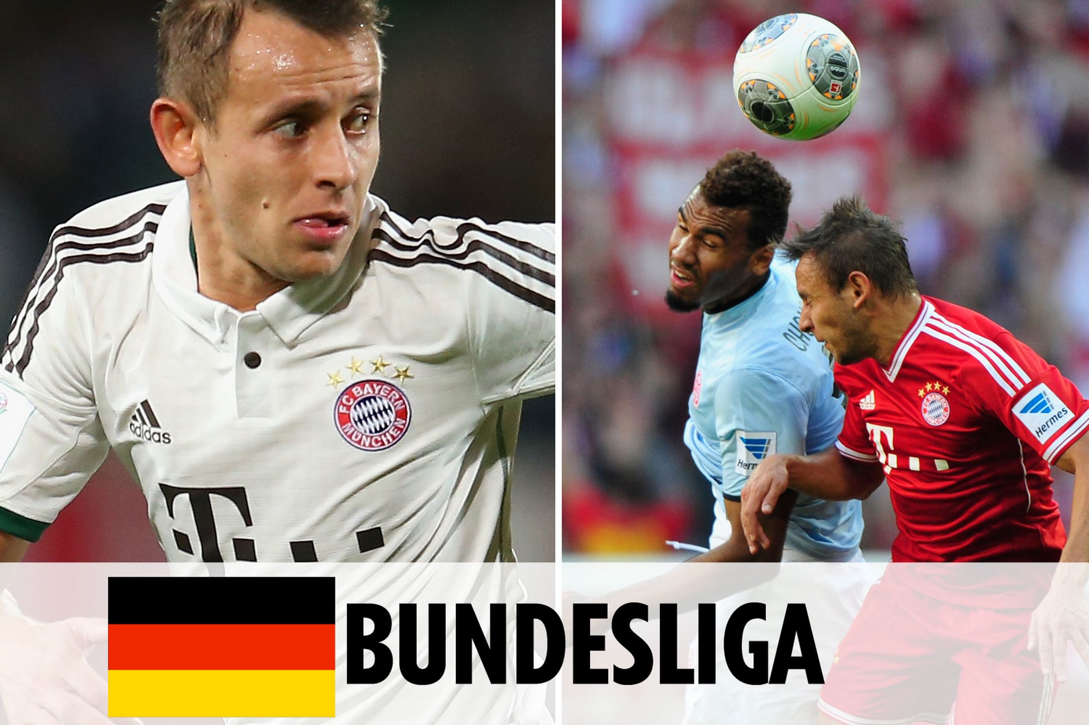 经验丰富的 经验丰富的