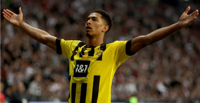 了许多精彩 了许多精彩