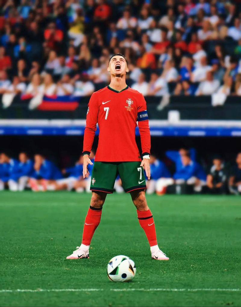 展示了强大 展示了强大