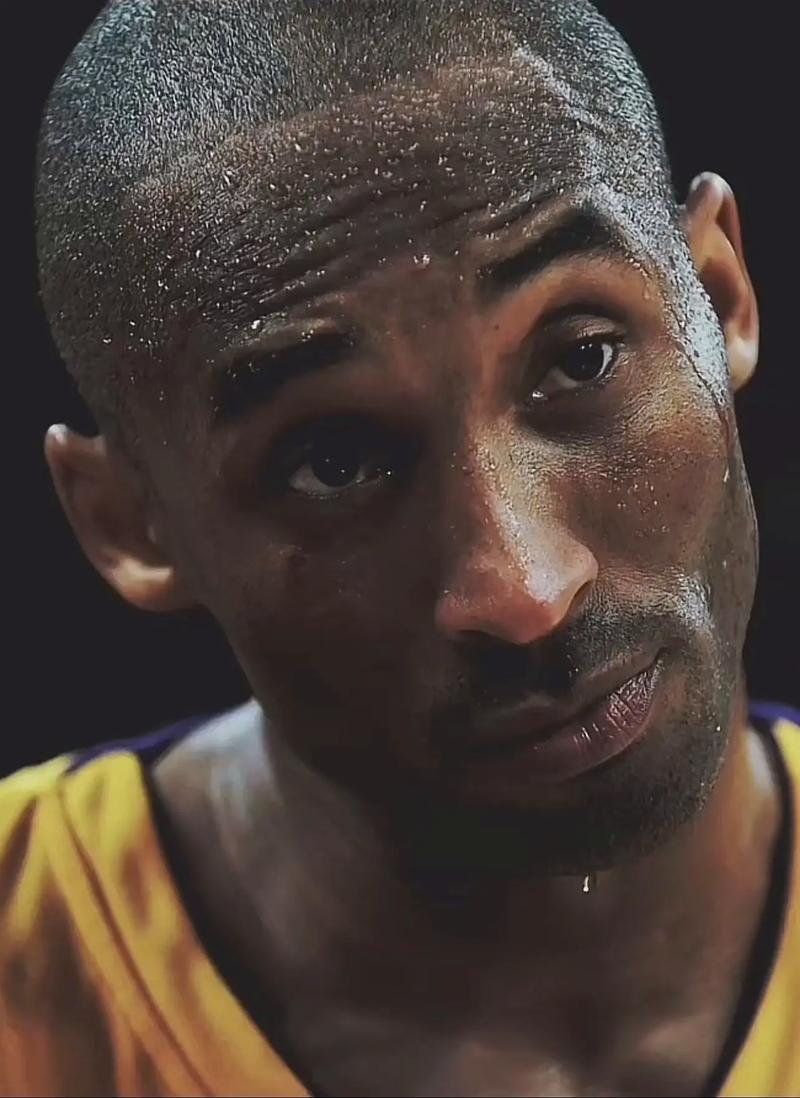 低遮挡外观 低遮挡外观