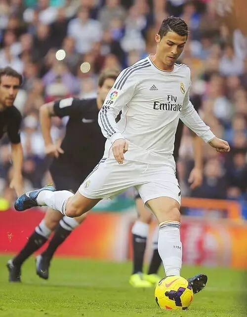 它就不仅是 它就不仅是